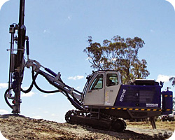 Bobcat